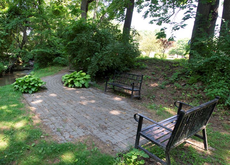 Rotary Club Long Meadows Park-1