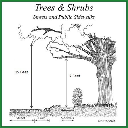 Trees Shrubs Street Sidewalk Image