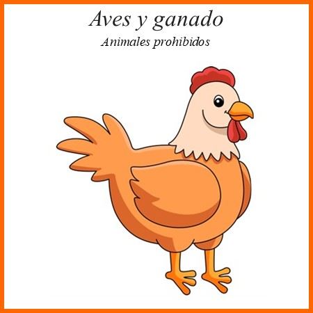 Fowl Livestock Image SPN