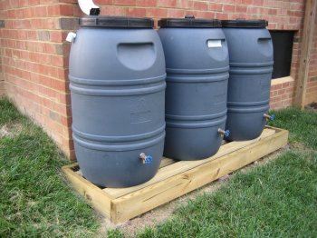Rain barrel photo