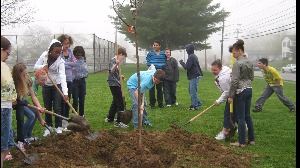 Tree planting photo