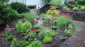 rain garden photo
