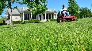 Lawn care photo